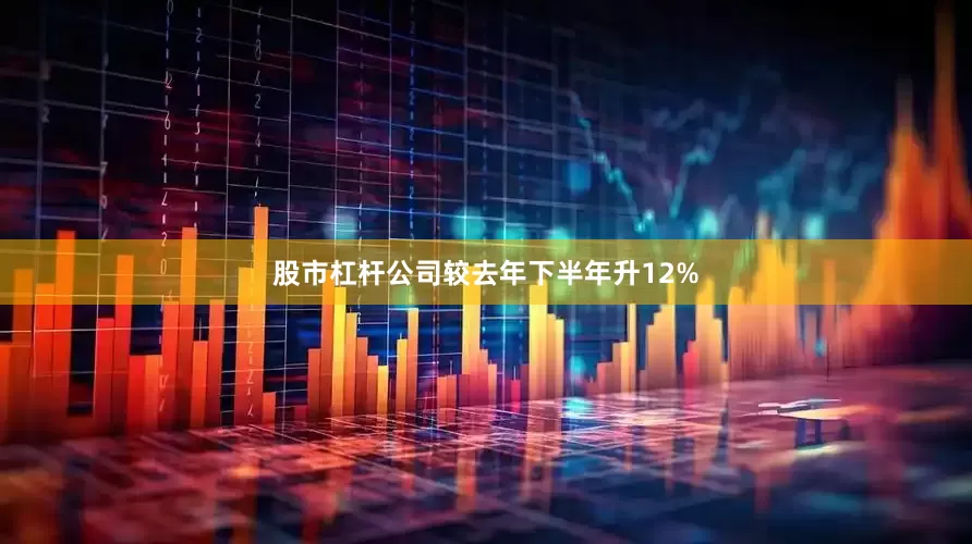 股市杠杆公司较去年下半年升12%