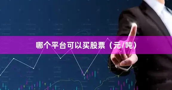 哪个平台可以买股票（元/吨）