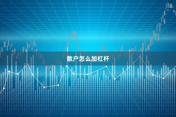 散户怎么加杠杆