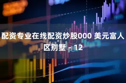 配资专业在线配资炒股000 美元富人区别墅 - 12